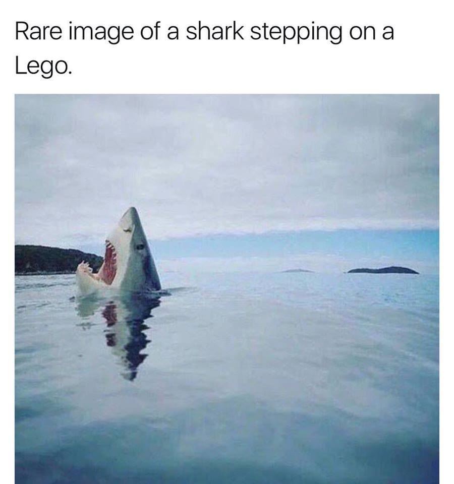14448935_10154317647476998_7007549185814656527_n.jpg