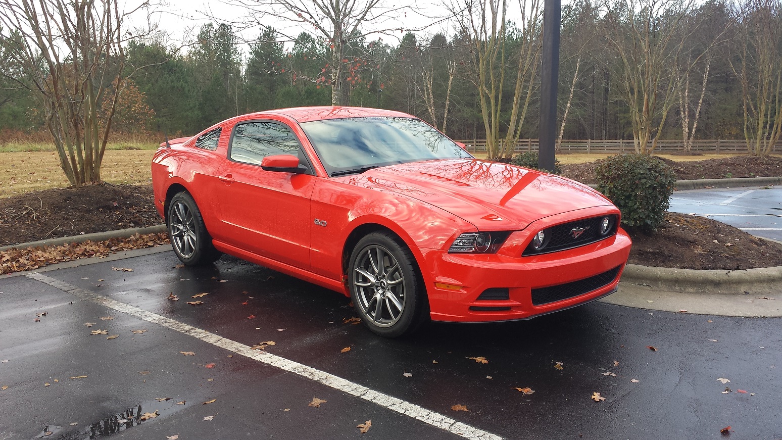 20131118_074331 - Copy.jpg