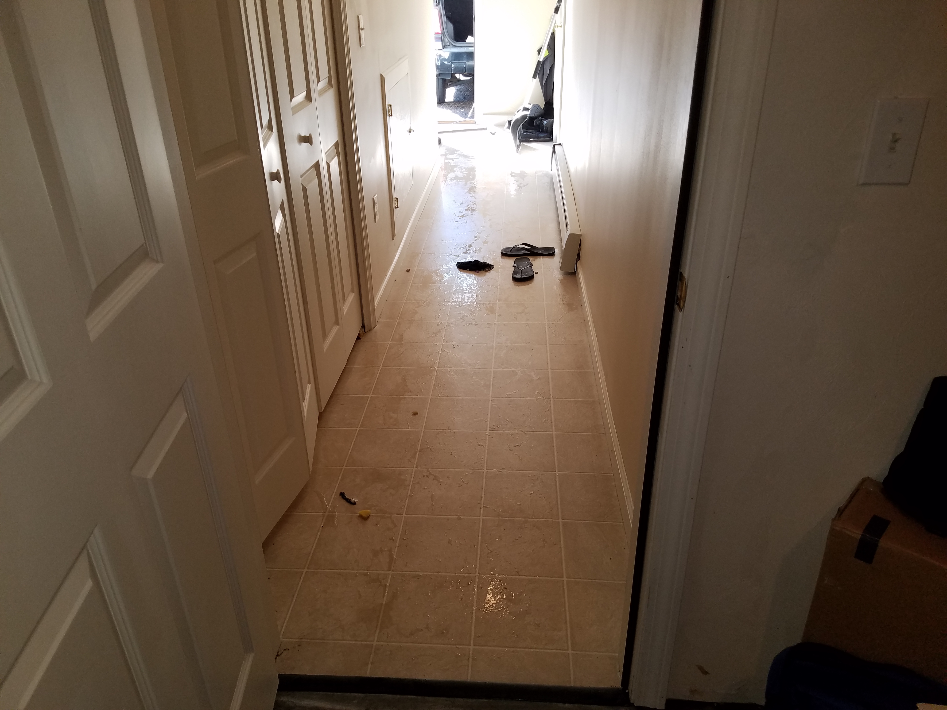 20170924_152951.jpg