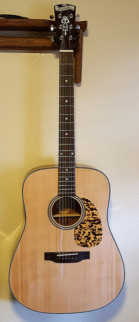 BF40 new pick guard.jpg