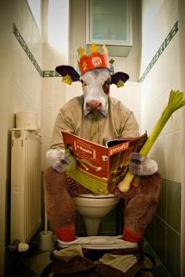 bizarre bull (6).jpg