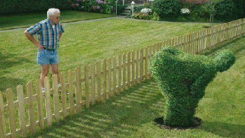 bush.jpg