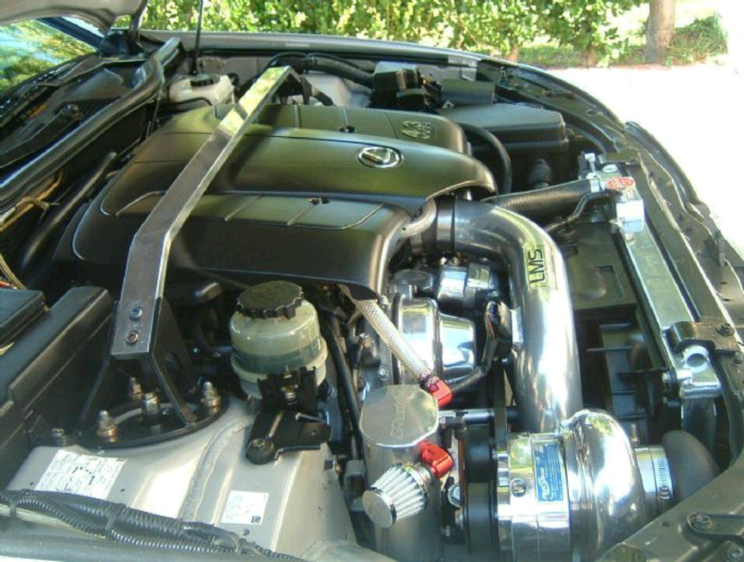 clipimg30.jpg