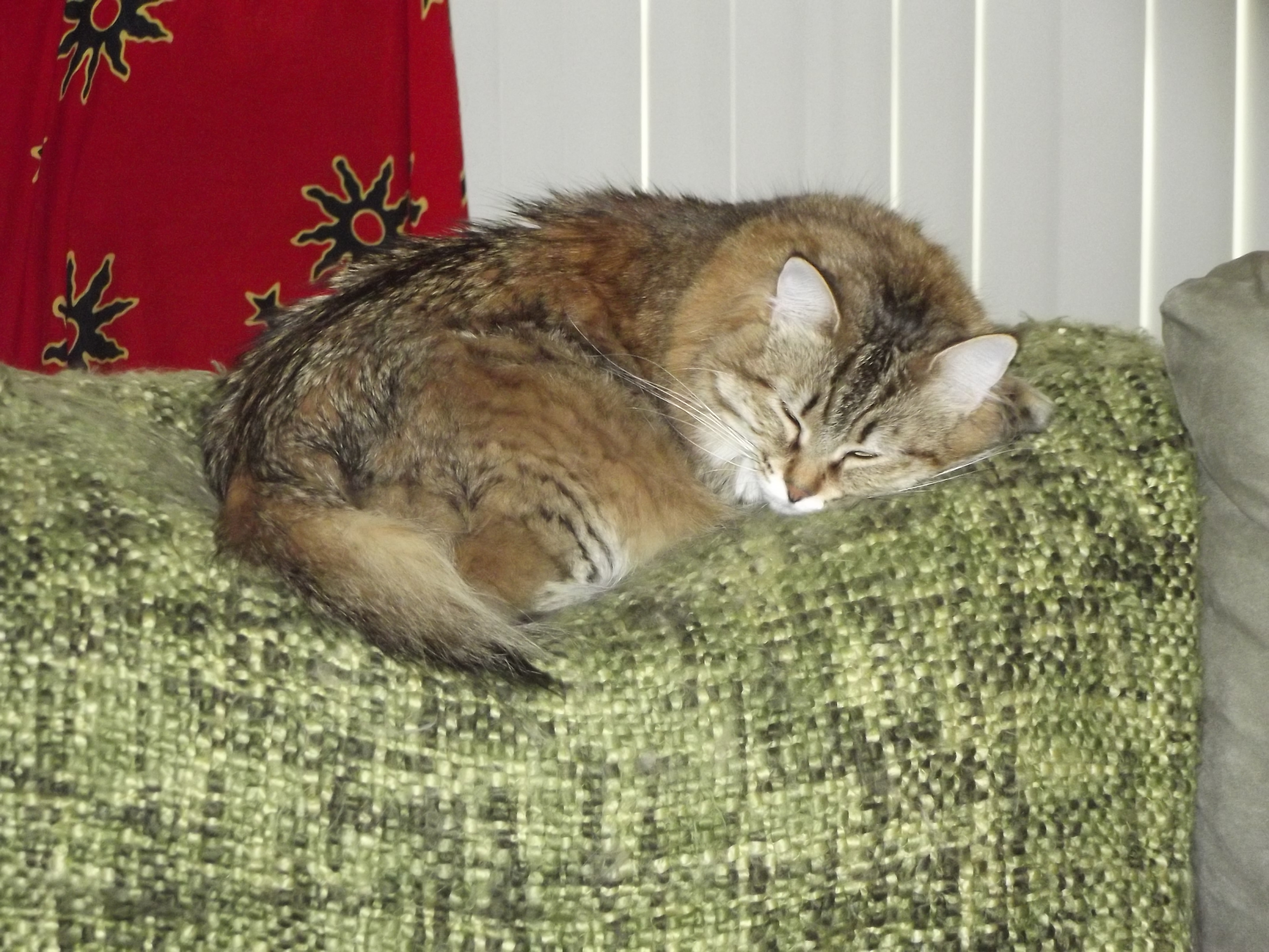 DSCF6820.JPG