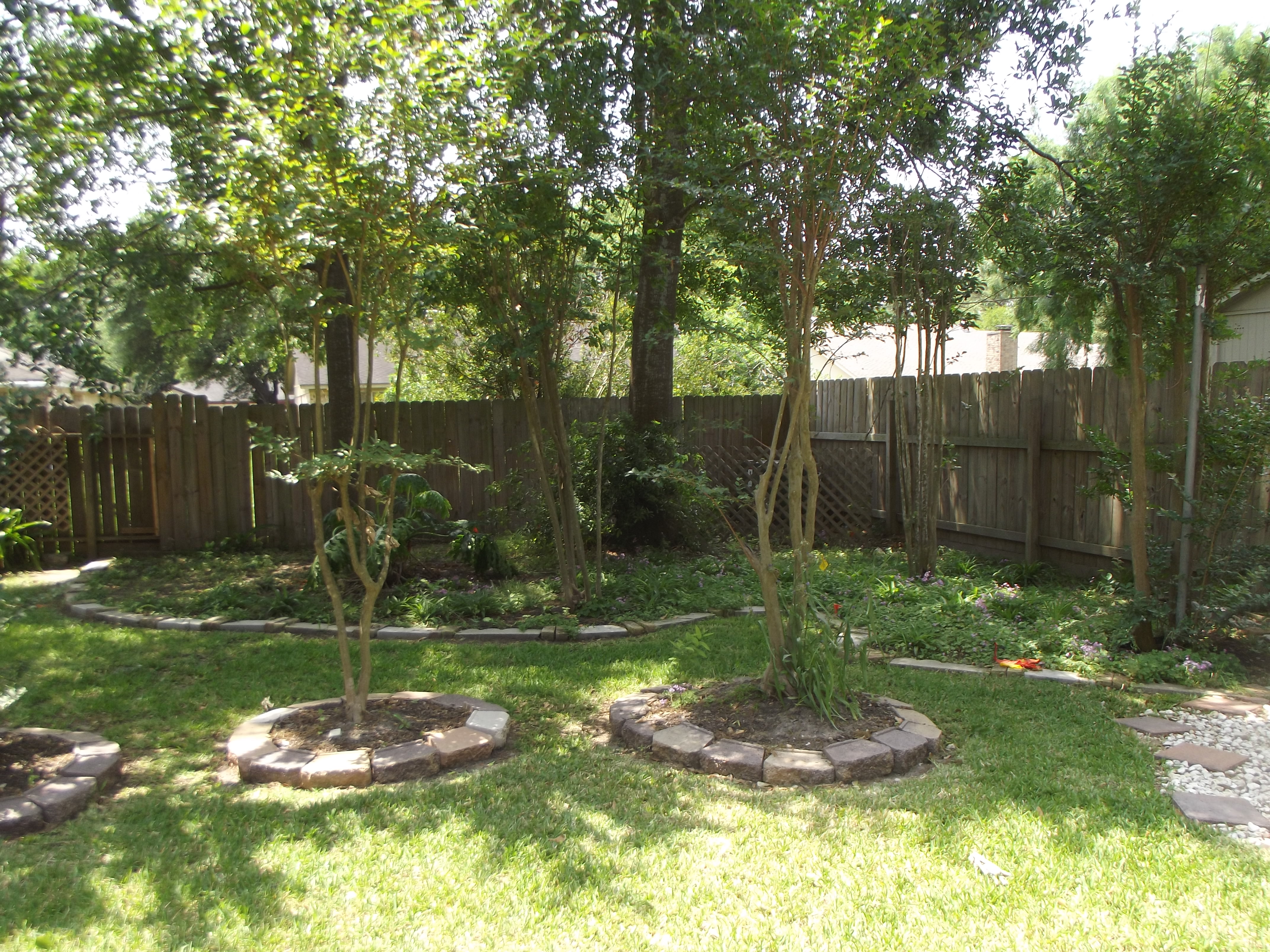 DSCF7028.JPG