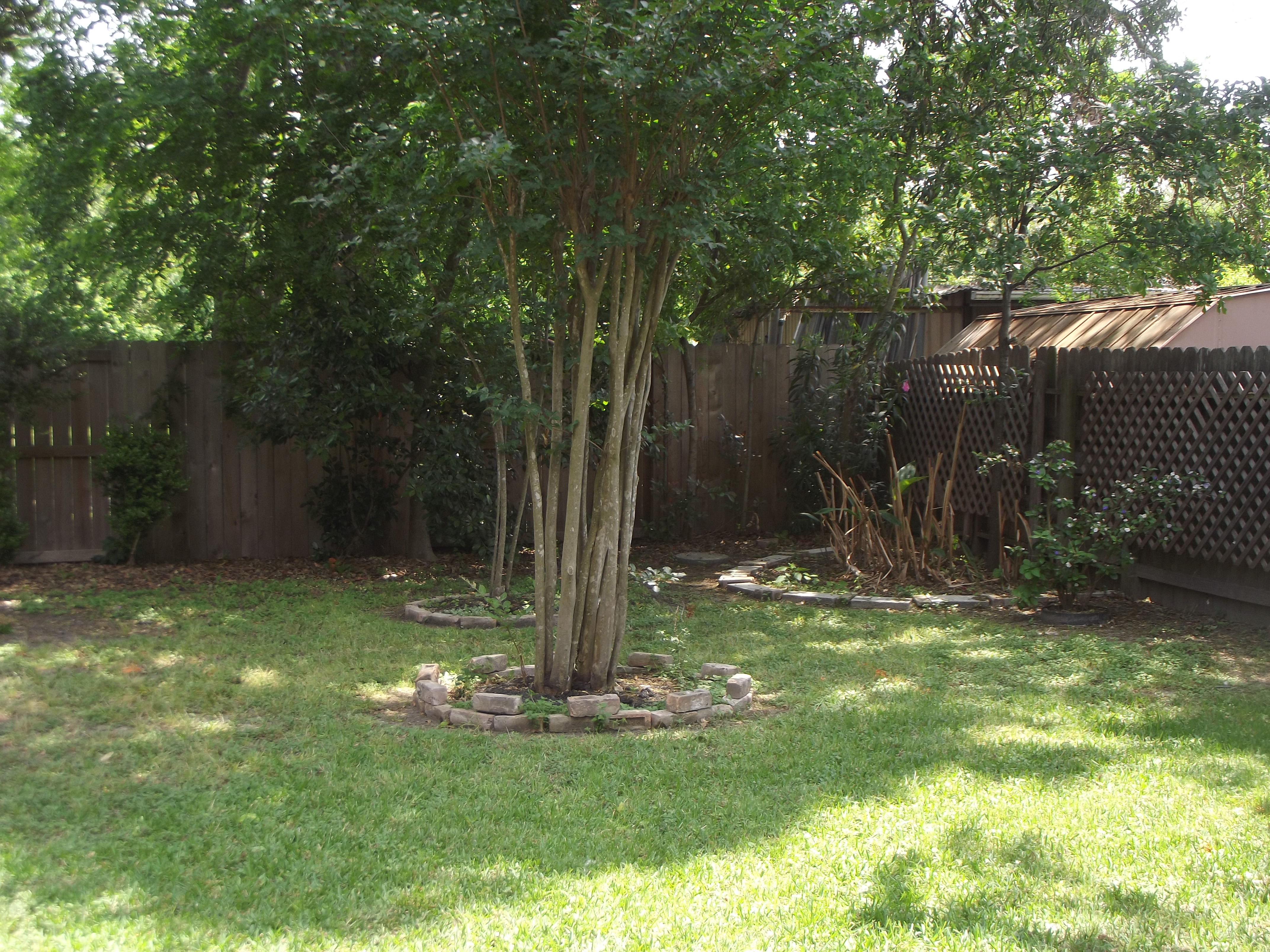 DSCF7029.JPG