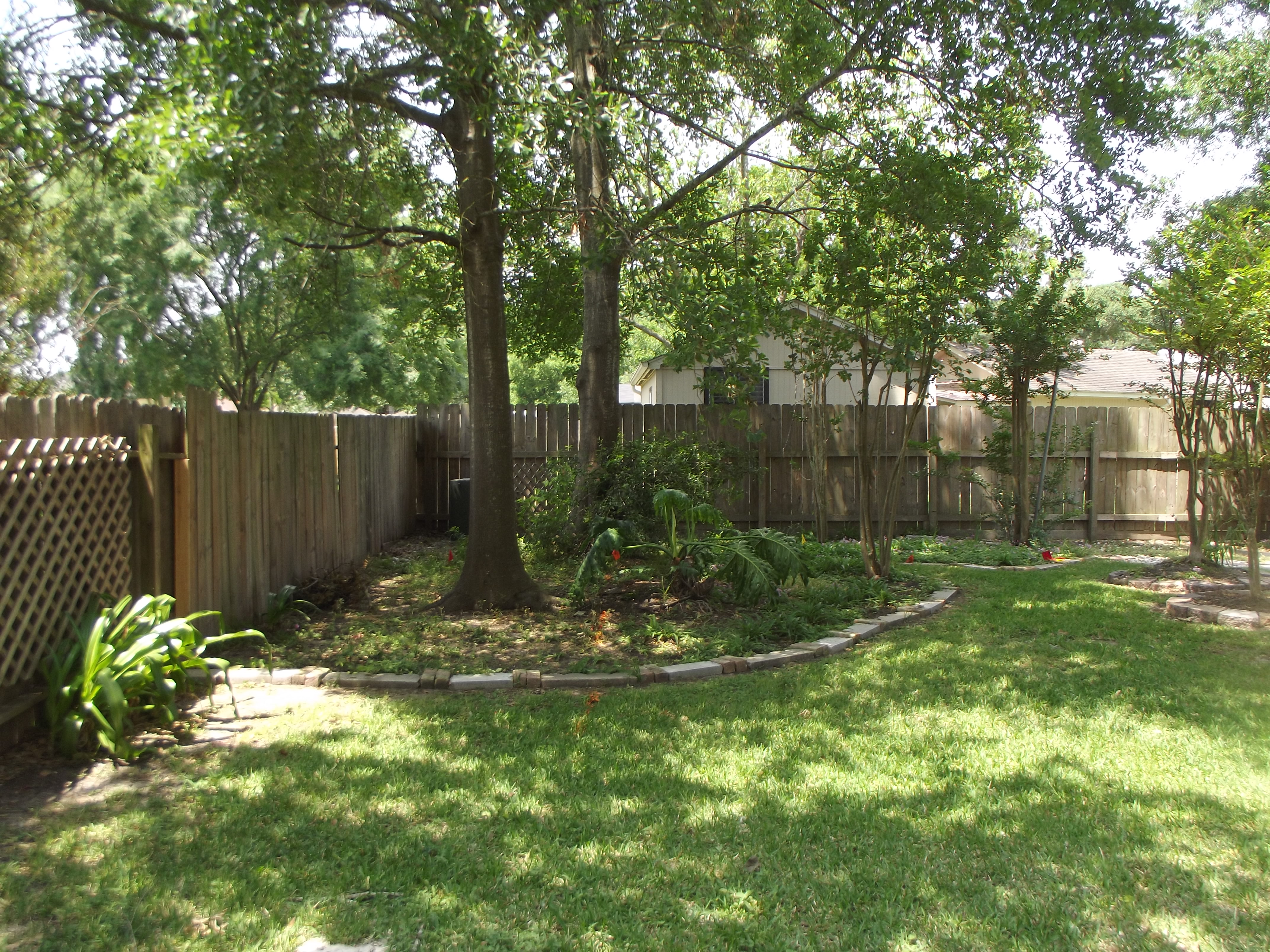 DSCF7034.JPG