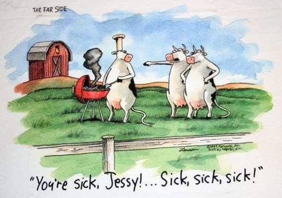 FB_IMG_1622210032727.jpg