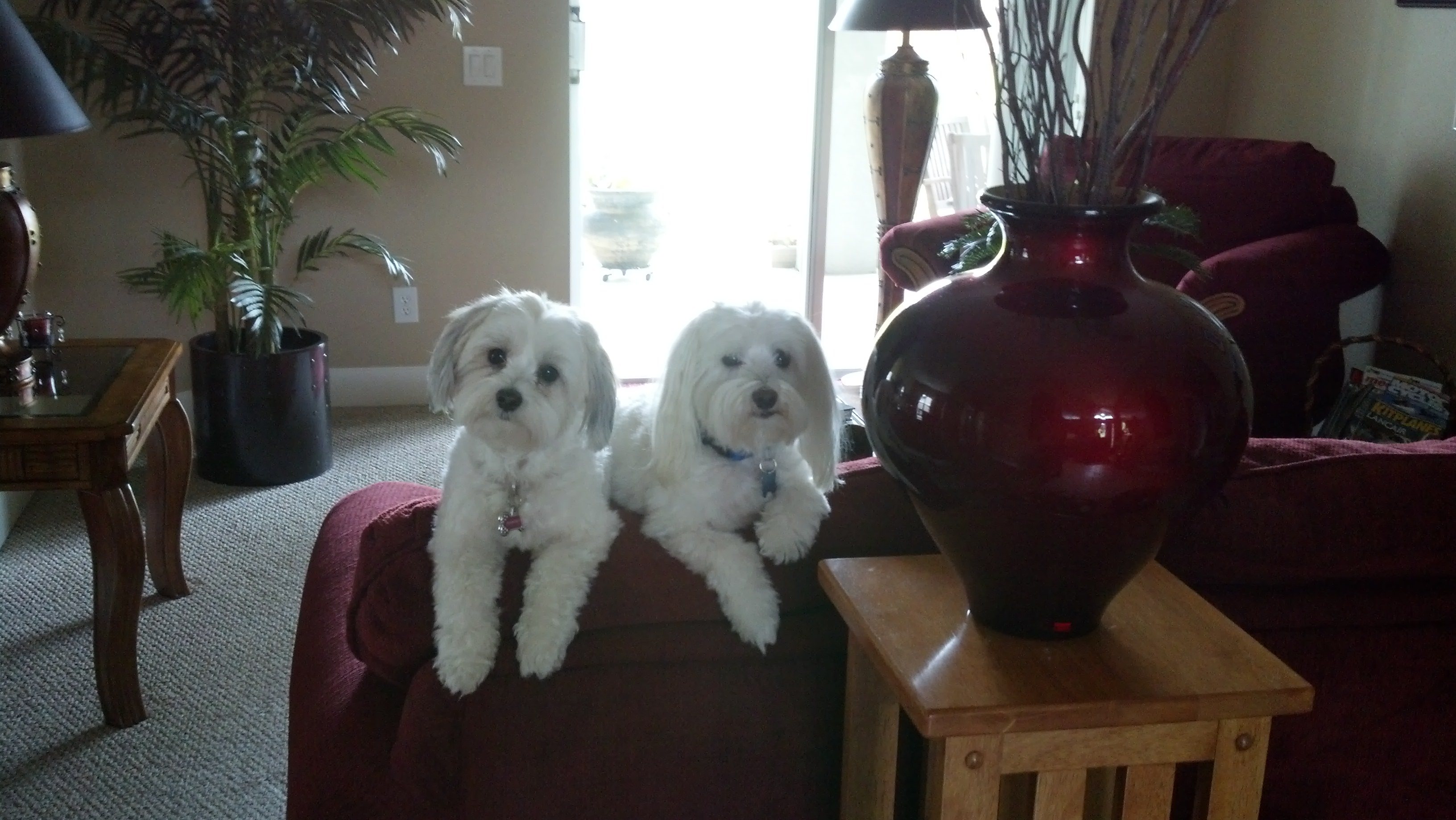 IMG_20130615_125324_280.jpg