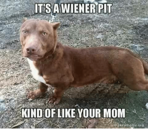 its-a-wiener-pit-kind-of-like-your-mom-makeameme-org-32459902.png