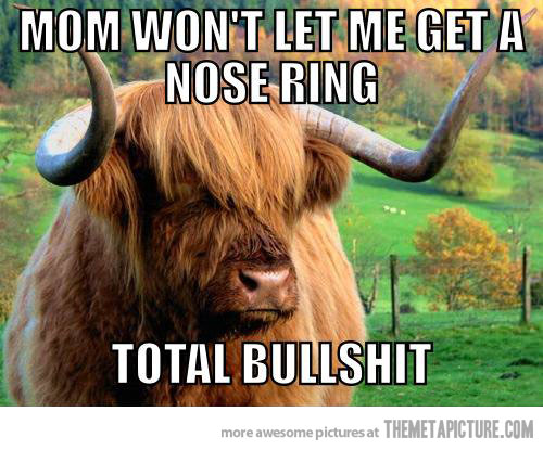 Mom-Wont-Let-Me-Get-A-Nose-Ring-Total-Bullshit-Funny-Meme.jpg