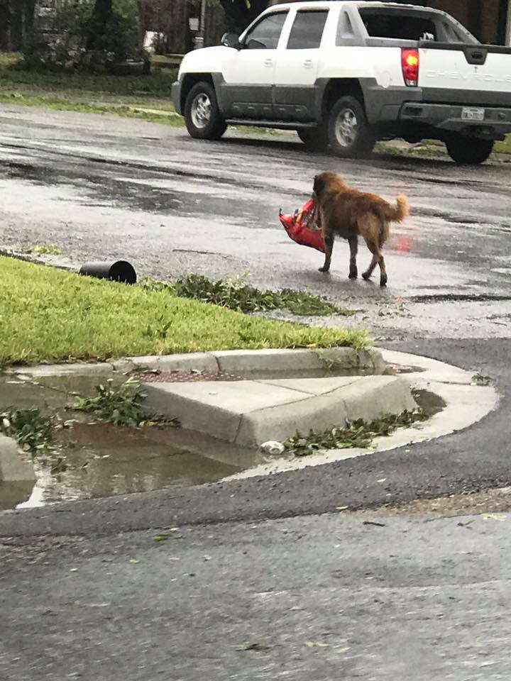 otis.jpg