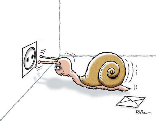 suicide_of_a_snail_642535.jpg
