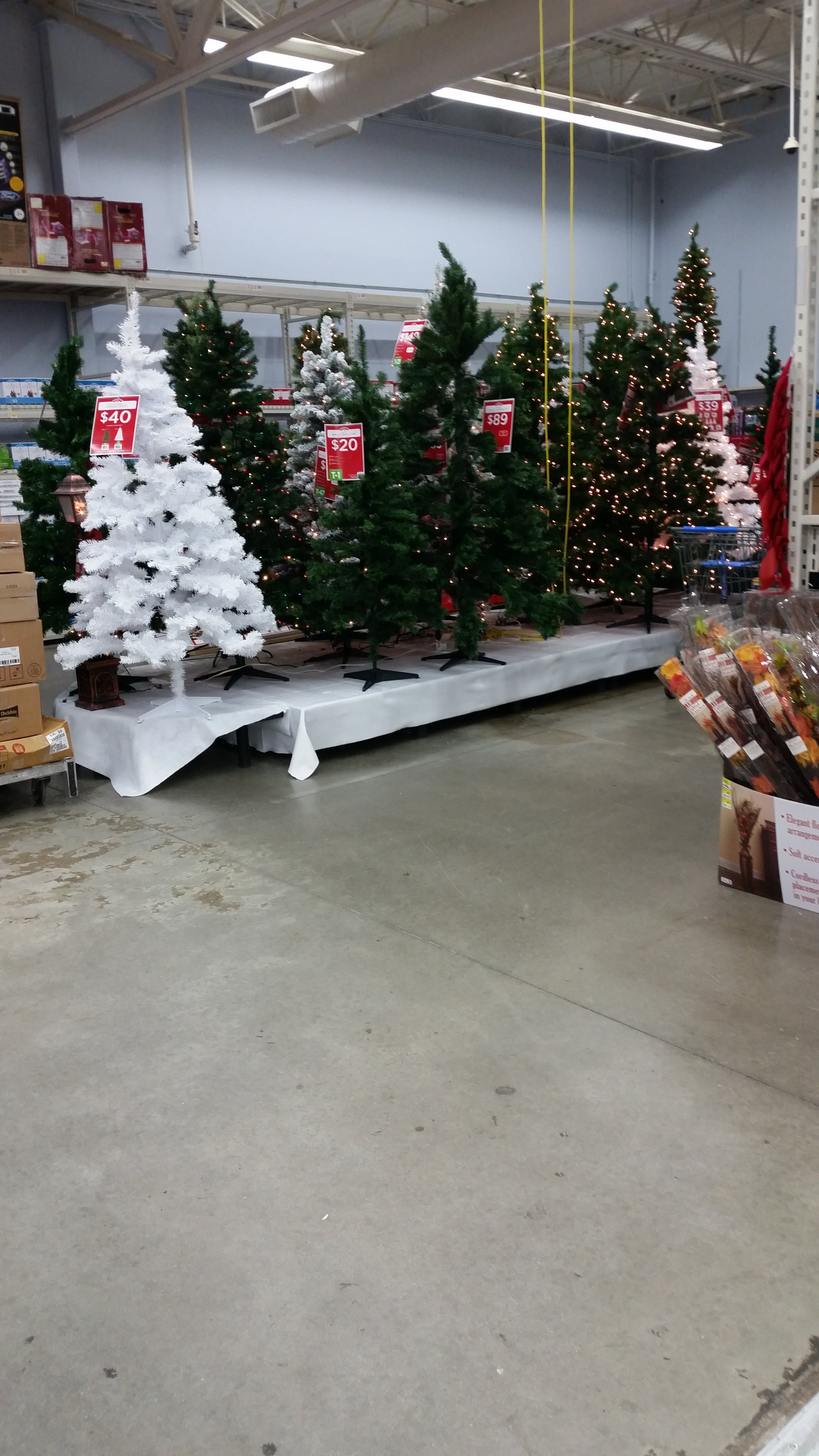 tmp_3975-20151002_170339164067837.jpg