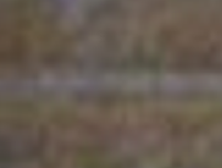 Untitled.png