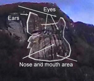 wolfs heaD2.jpg
