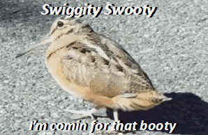 XcAH7Ll.gif