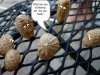 funny+peanut+joke.jpg