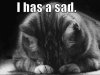 sad-cat.jpg