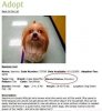 dog-mental-status-retarded.jpg dog-mental-status-retarded.jpg