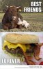 farm-animals-funny-animals-cow-and-pig-bacon-burger.jpg