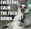 91 Chill Lemur Has Some Advice.jpg