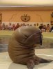 99 Ashamed Walrus Is Ashamed.jpg