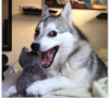 lol.PNG