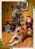 20171218_175920.jpg