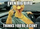 bigbird giving the finger.jpg