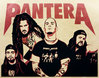 pantera_by_ucarts-d4aayok.jpg