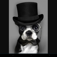 wareswolf2025