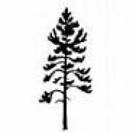 Jackpine1