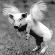 ionpig