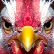 faxmechicken