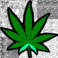 Major420