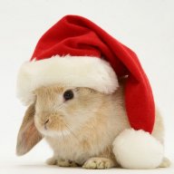 SantaBunny