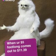 TinderPlus