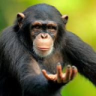 ixmonke