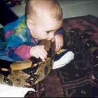 Snakebabies