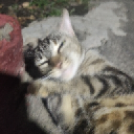 KessuaS