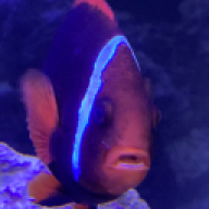 Nacholas