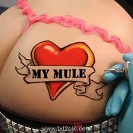 MyWifesMule