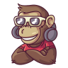 Mr Chimp