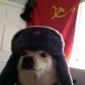Comrade Nikto