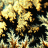 OuterFuel