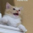 6ixK