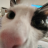 Macuwu