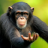 ixmonke